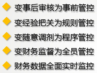 元內(nèi)控平臺實(shí)施達(dá)到的整體效果